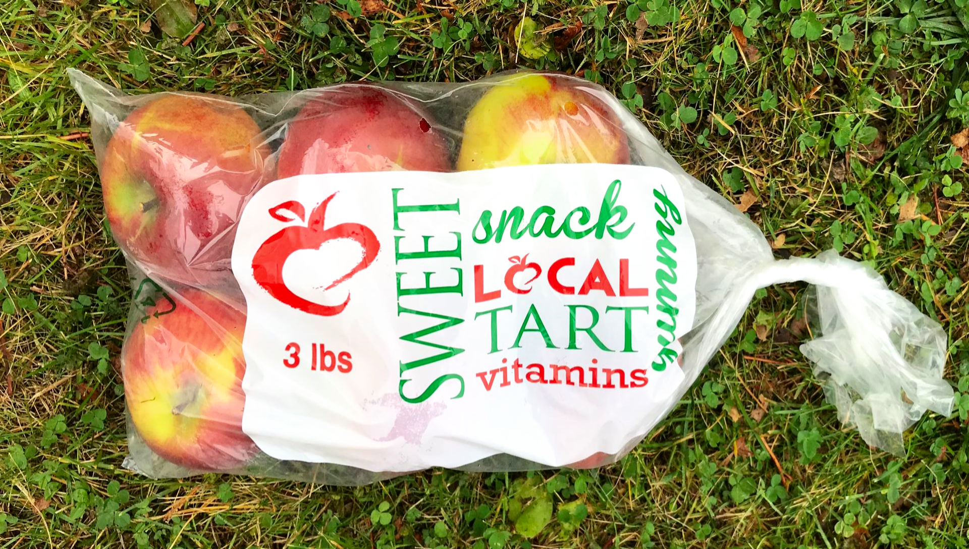 Apples in a Bag stock photo. Image of health, groceries - 23316364